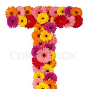 Meet your Posher, Trinity